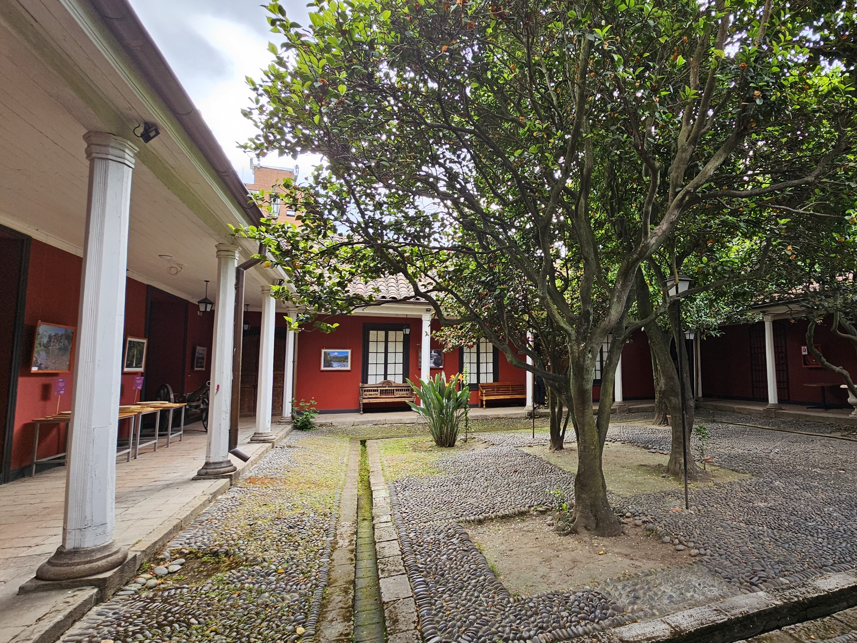 Fotografía del Jardín del museo, cuenta con corredor y árboles en el centro
